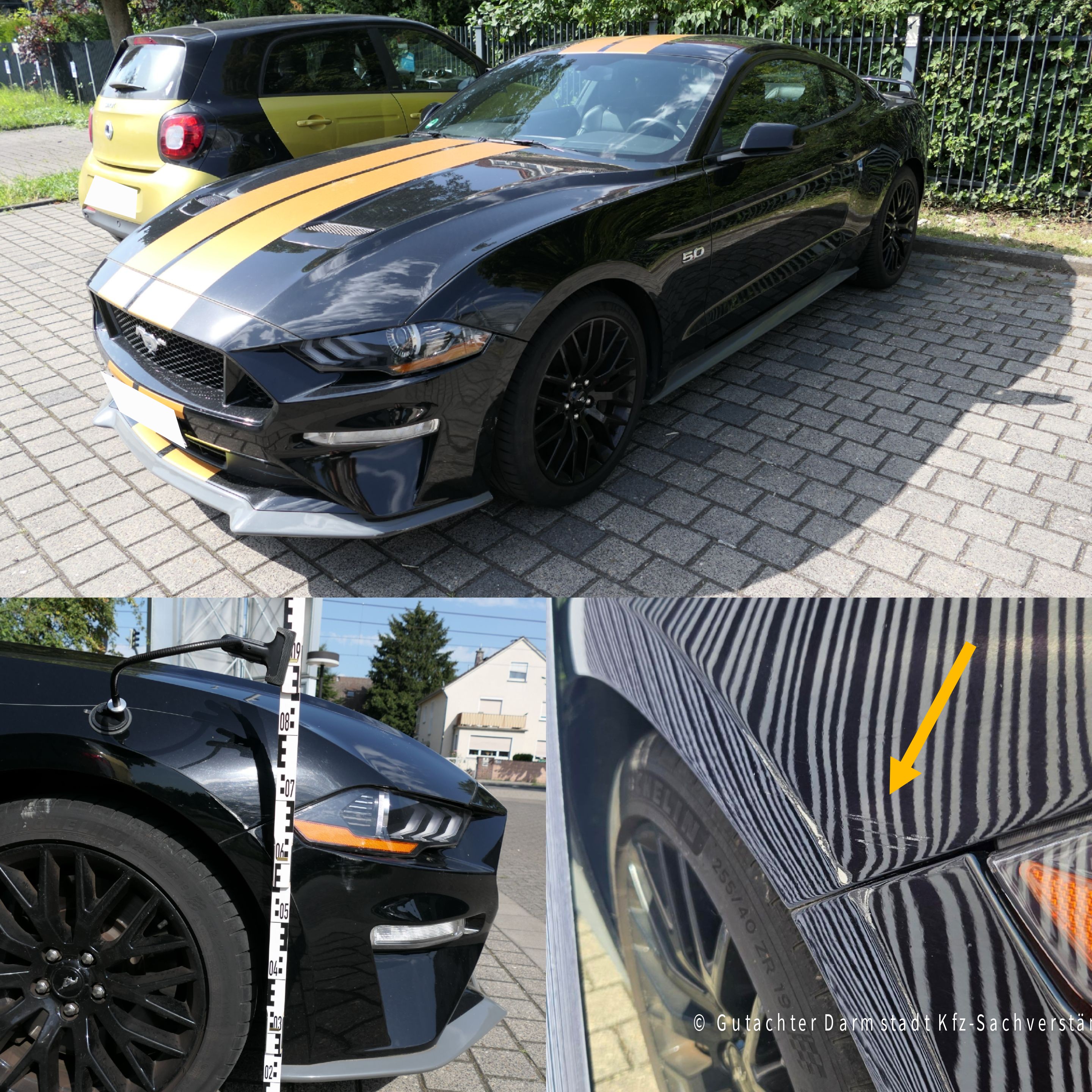 Exoten & Sportwagen Referenz 21