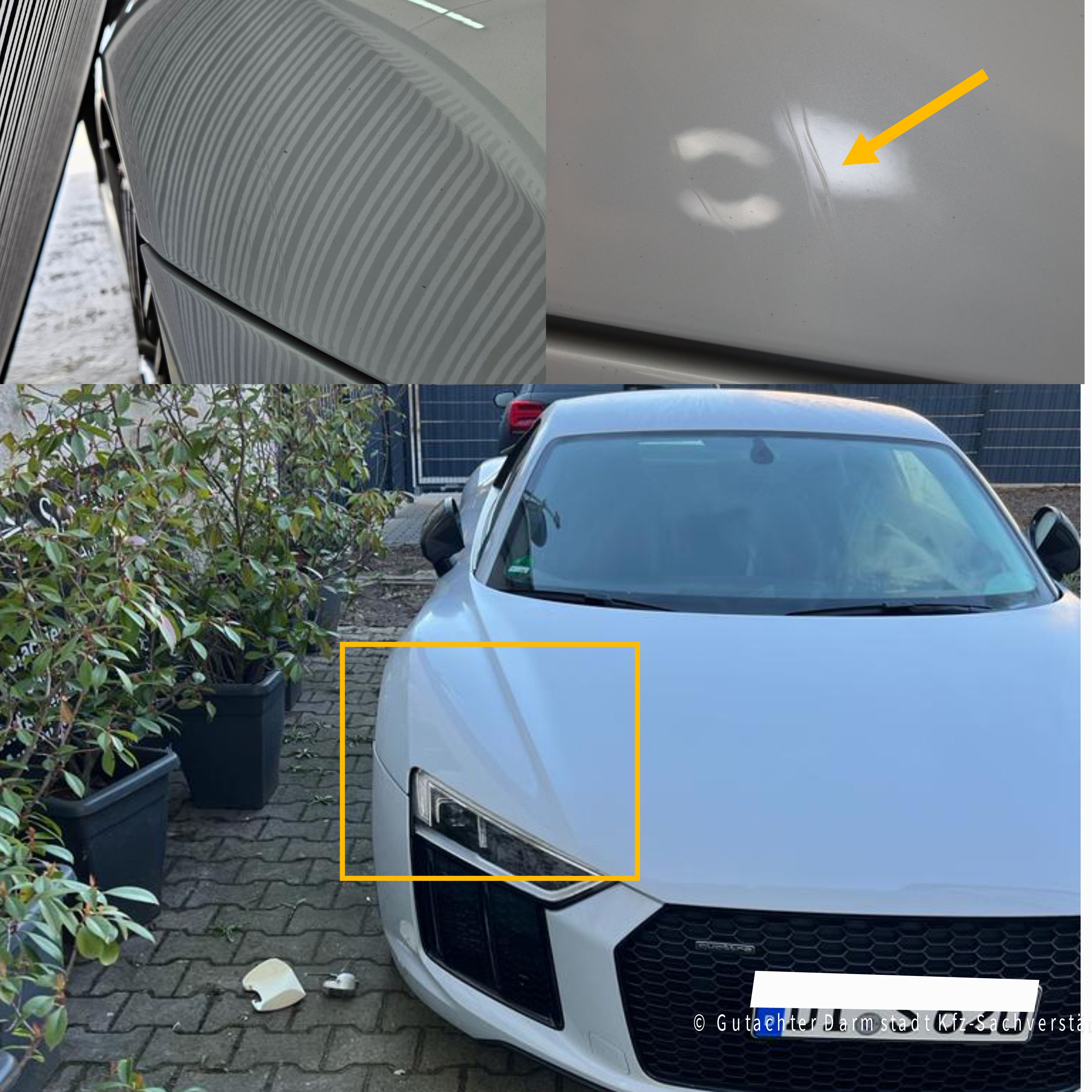 Exoten & Sportwagen Referenz 14
